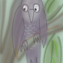 owl